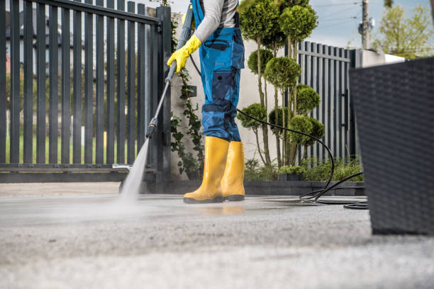 Best Deck Pressure Washing  in Independence, MN